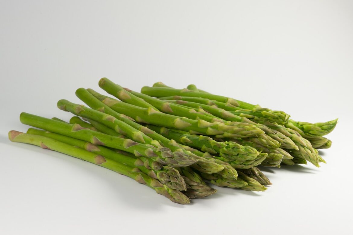 Manfaat dan Cara Mengolah Asparagus dengan Mudah